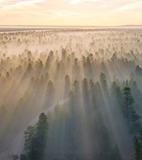 chris-lawton-6tfo1m8_gas-unsplash chris-lawton-6tfo1m8_gas-unsplash