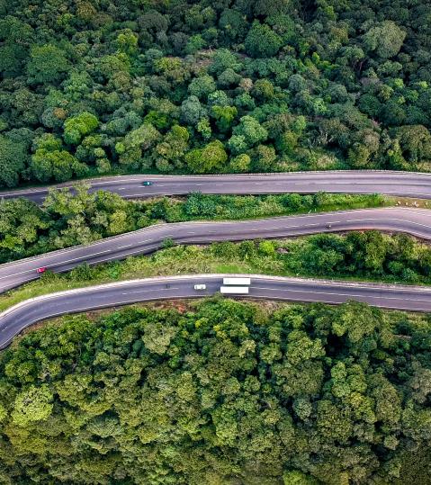 pexels-tomas-malik-1998435 pexels-tomas-malik-1998435