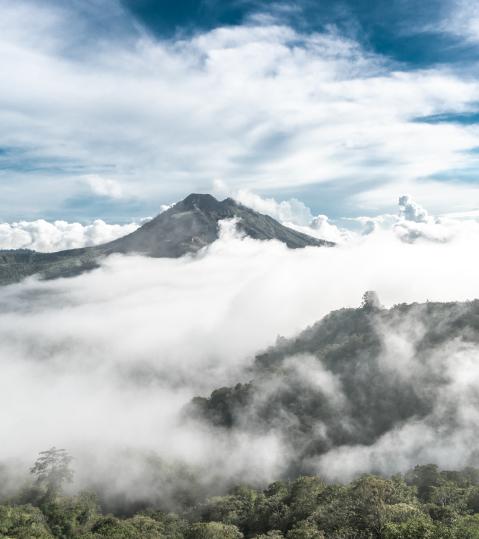 polina-kuzovkova-27fadz3zpik-unsplash polina-kuzovkova-27fadz3zpik-unsplash