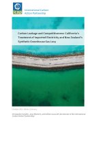 canz-paper_v06_final_cover canz-paper_v06_final_cover