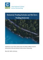 icap-netzeropaper_final_cover icap-netzeropaper_final_cover